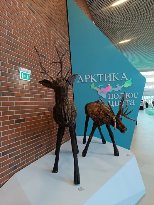 59x1S7beNQS0W2kq5RUDX0F7Jc9fMOTX9OJiY12ANtHEgnZP8faXgWdei38XS8CX__eE_nTkFgae8tviuLVmVwo4